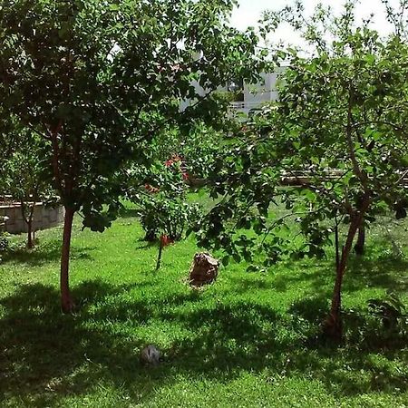 Sunny Garden Studio 雅典 外观 照片