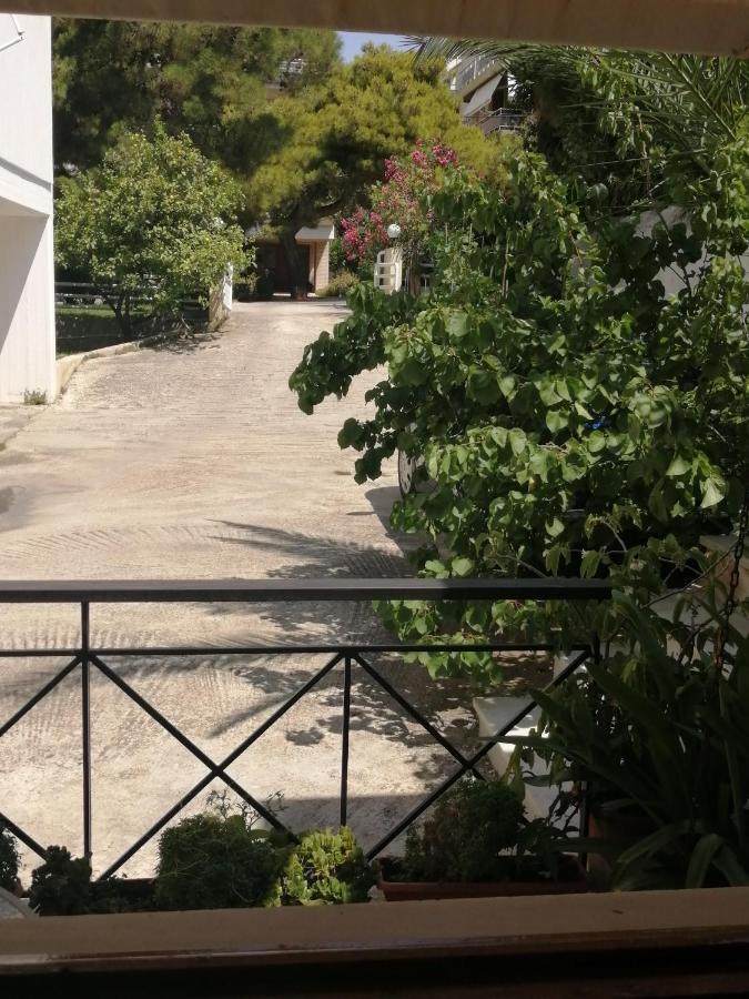 Sunny Garden Studio 雅典 外观 照片
