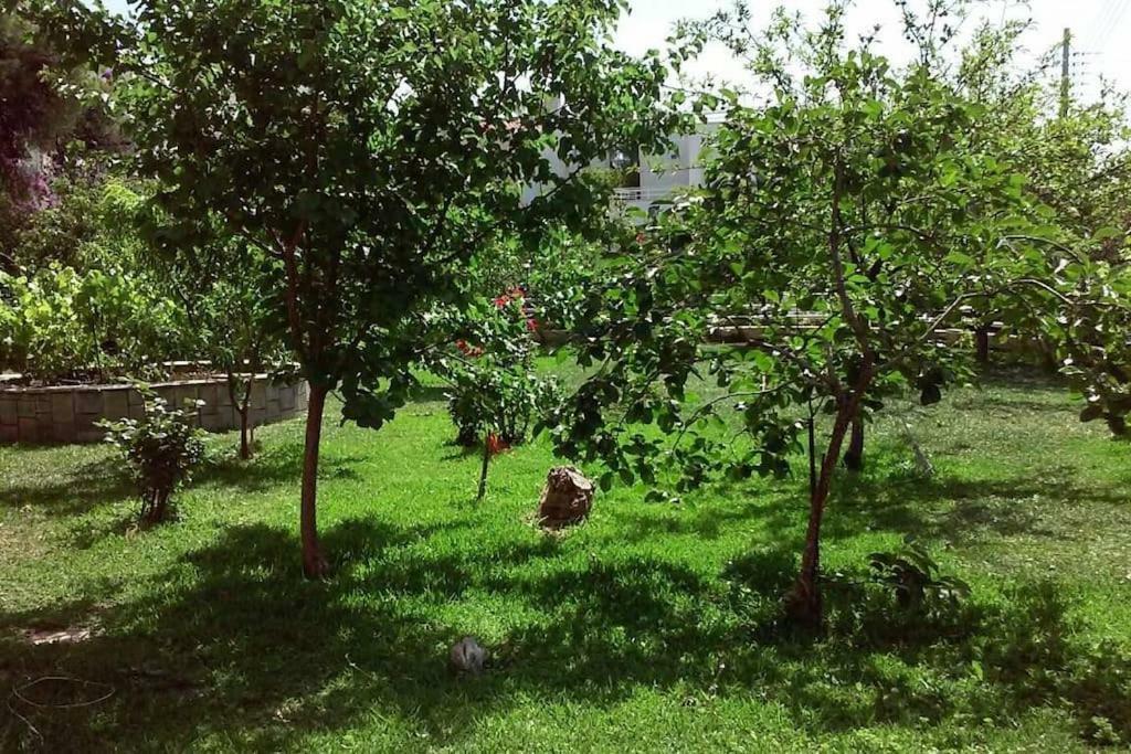 Sunny Garden Studio 雅典 外观 照片